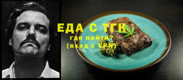 индика Алексин