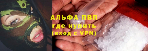 шишки Алзамай