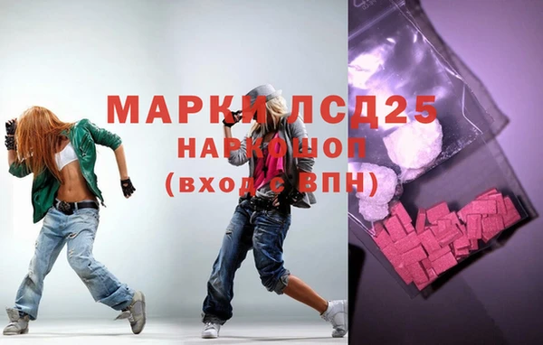 индика Алексин