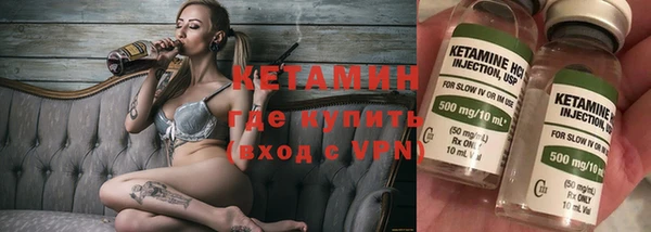 индика Алексин